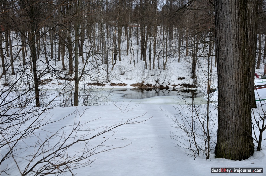 усадьба Райки