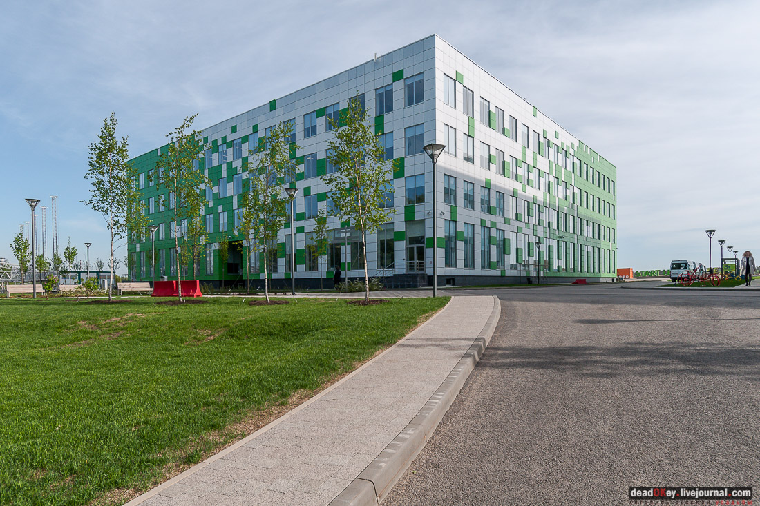 усадьба Мамоново, Сколково, Гусева полоса