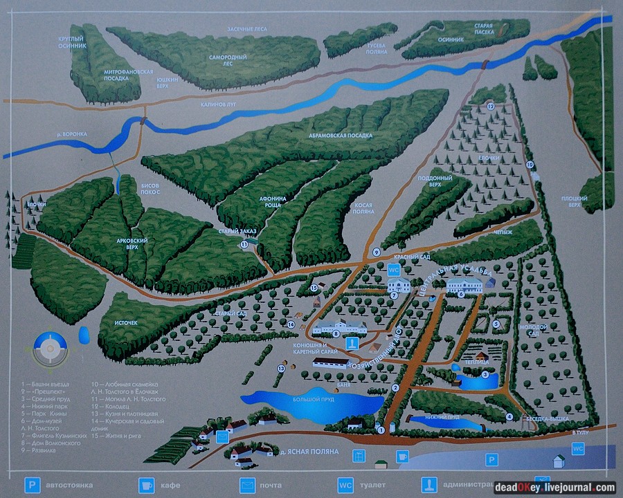 усадьба Ясная Поляна