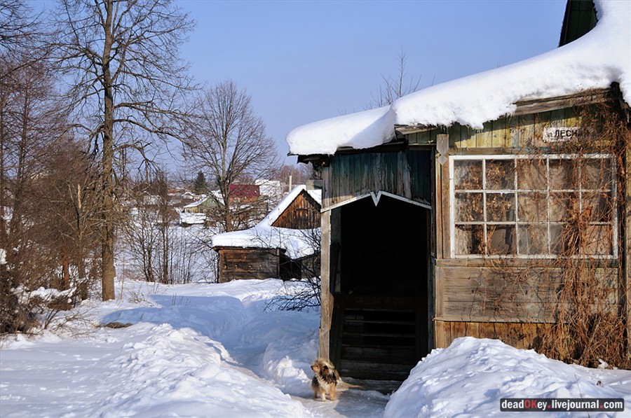 усадьба Костино Сабашниковых