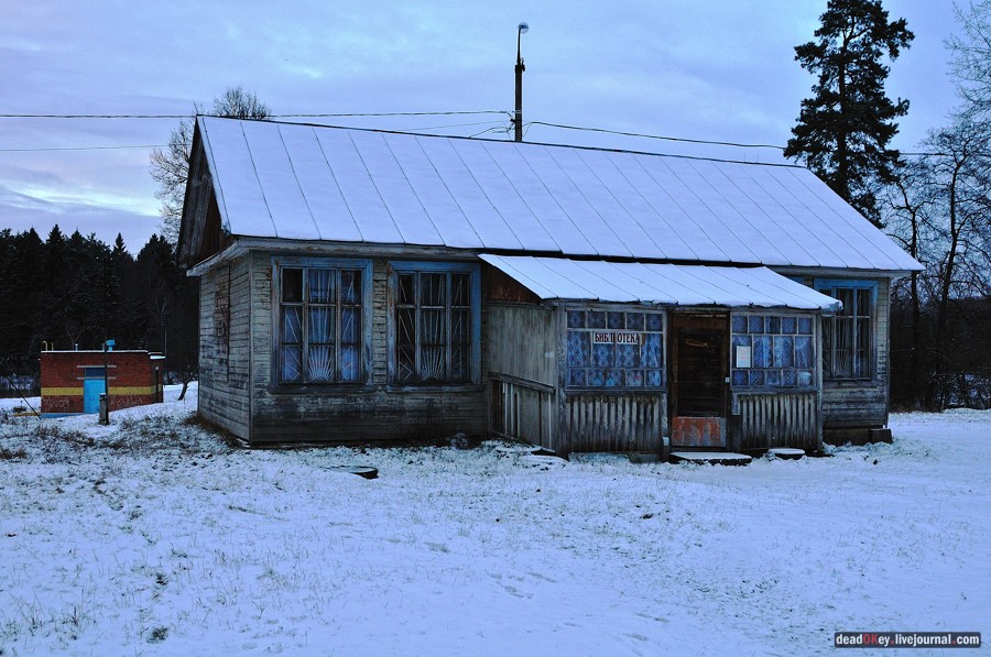 усадьба Медное-Власово