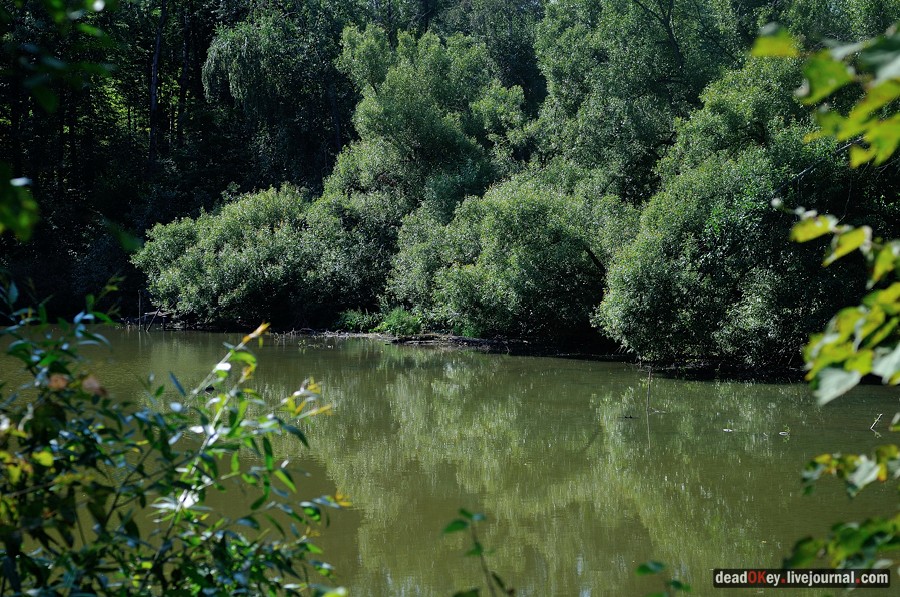 усадьба Денежниково