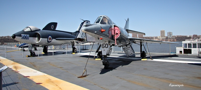 1109989_1IMG_0043 (700x315, 172Kb)