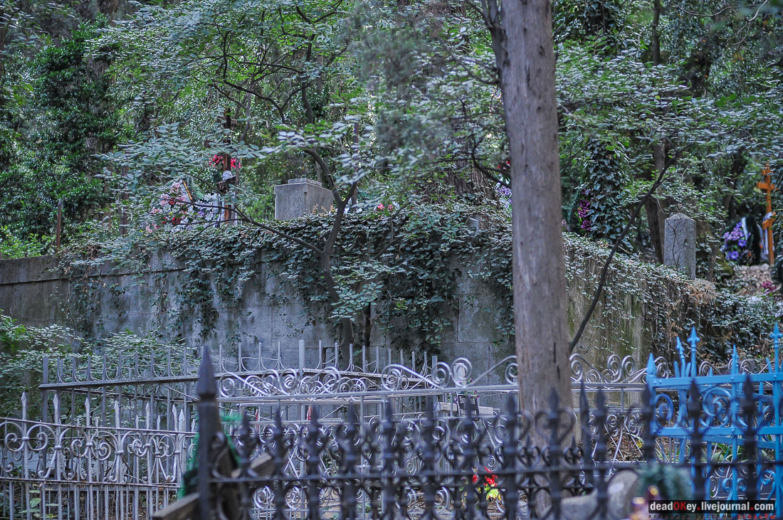 поселок Кореиз, Крым