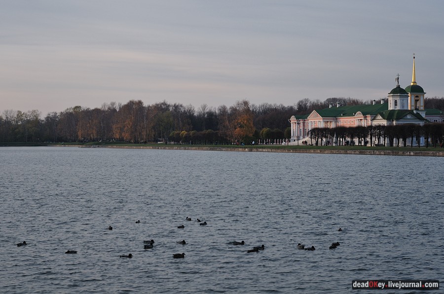 усадьба Кусково