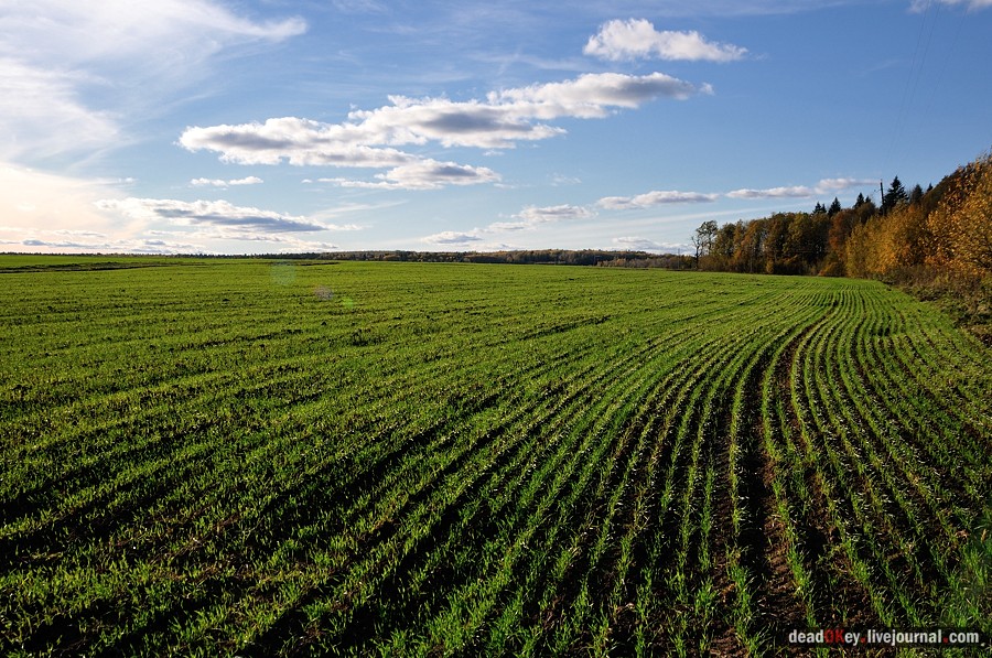 усадьба Дубровка (Мансурово)