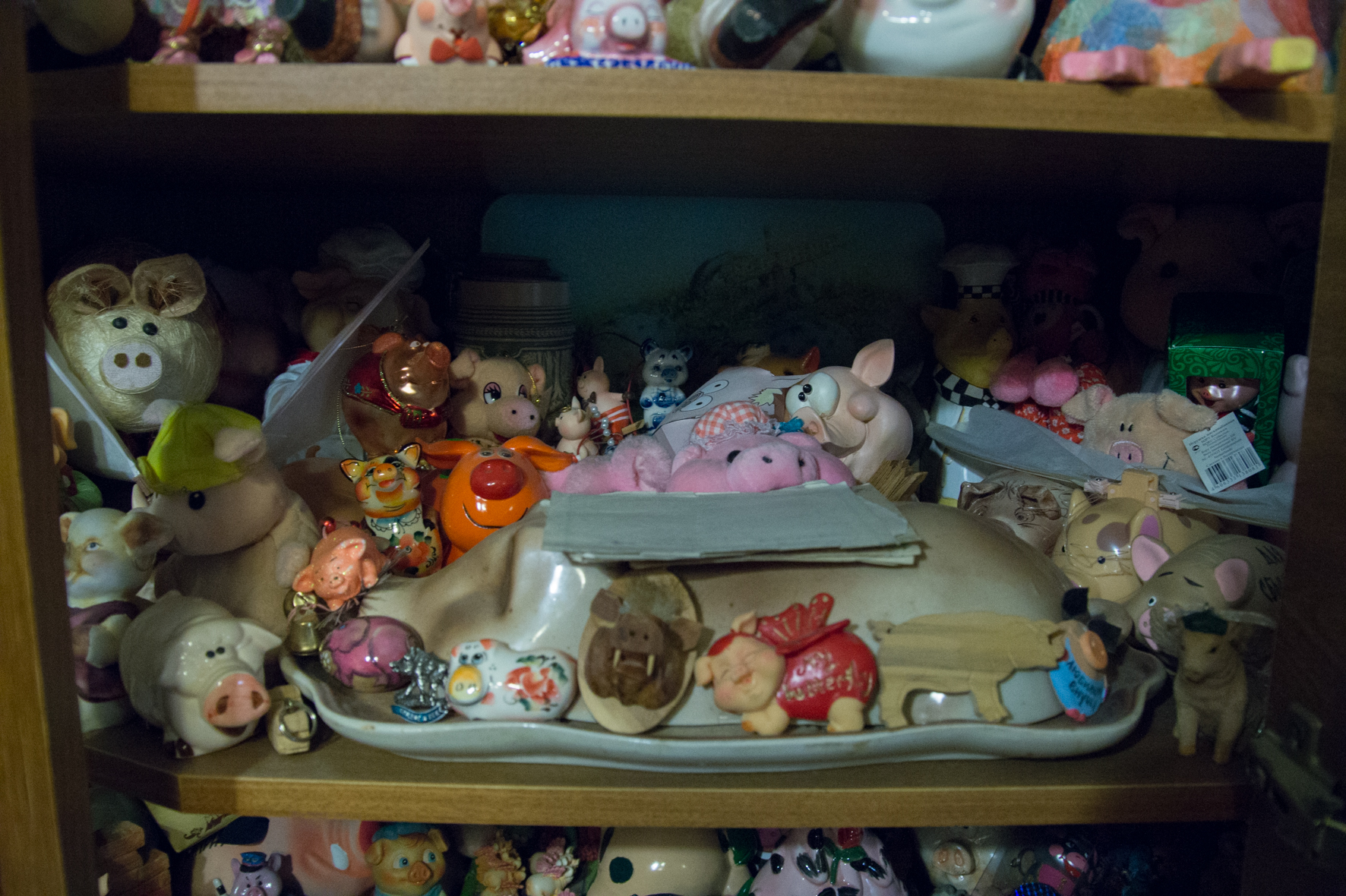 Свиньи, музей свиней