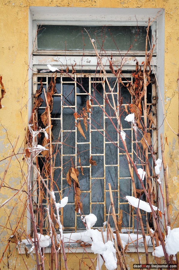 усадьба Дугино