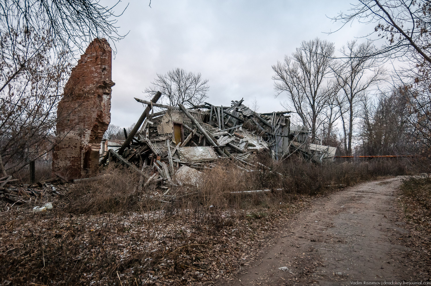 усадьба Бобрики Бобринских, Донской, Тульская область, музей
