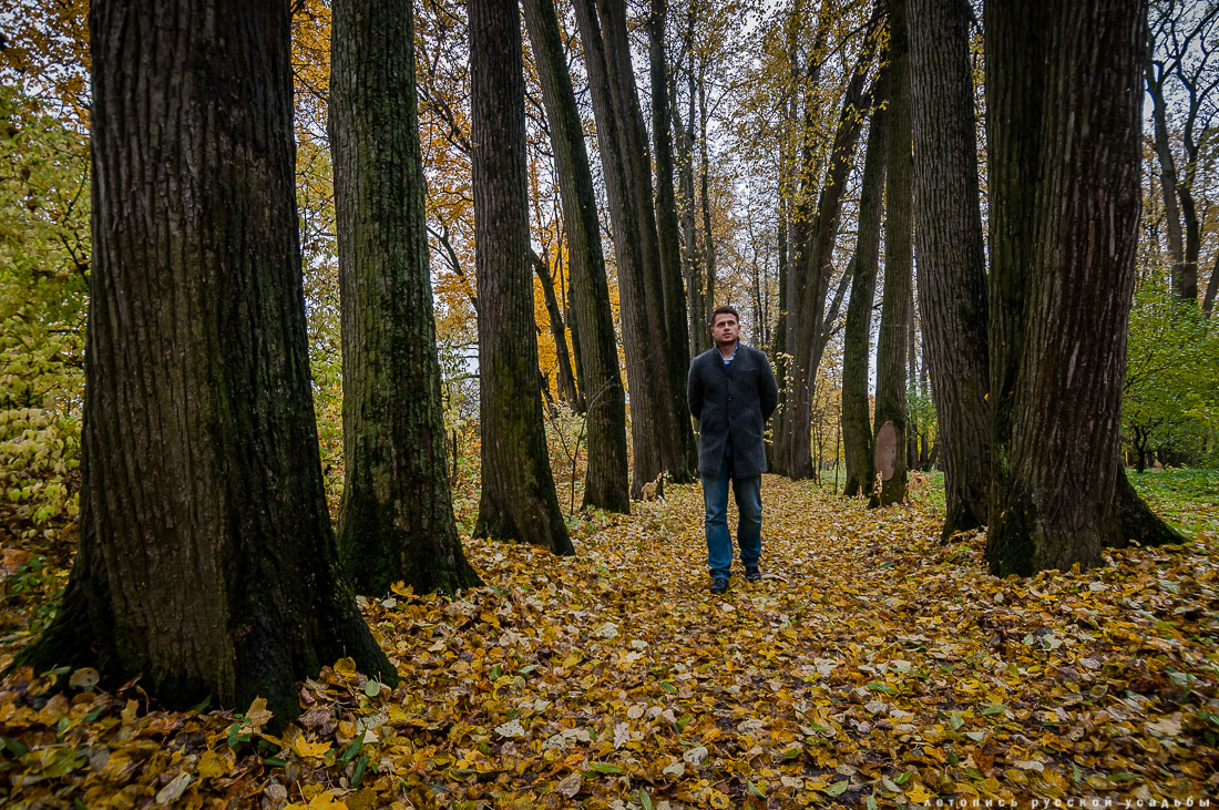 усадьба Ясная Поляна Льва Николаевича Толстого, Тульская область, осенью