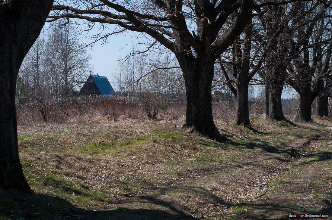 усадьба Савинское (исследование масонского парка)