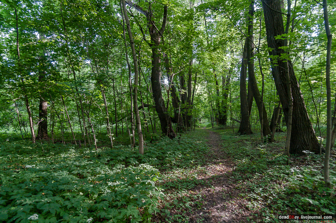 Усадьба Богородское-Кишкино