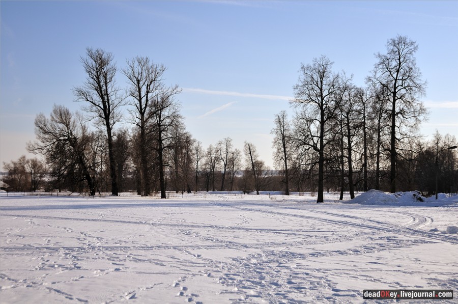 усадьба Федино