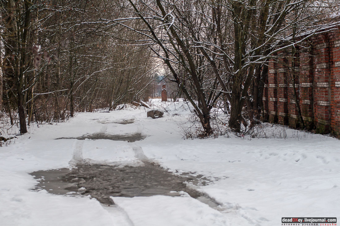 усадьба Гребнево, аукцион, съемки для телеканала Москва-24