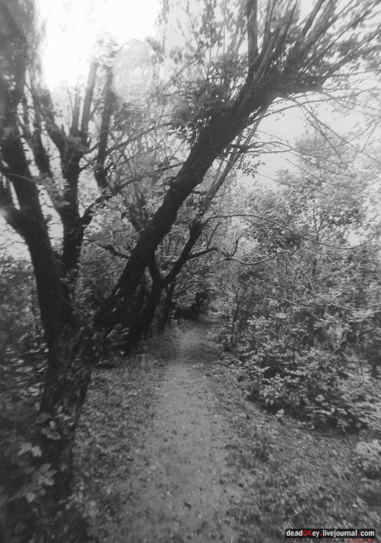 усадьба Тарасково, Каширский район, реставрация, ASG