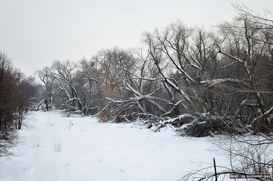 усадьба Котляково
