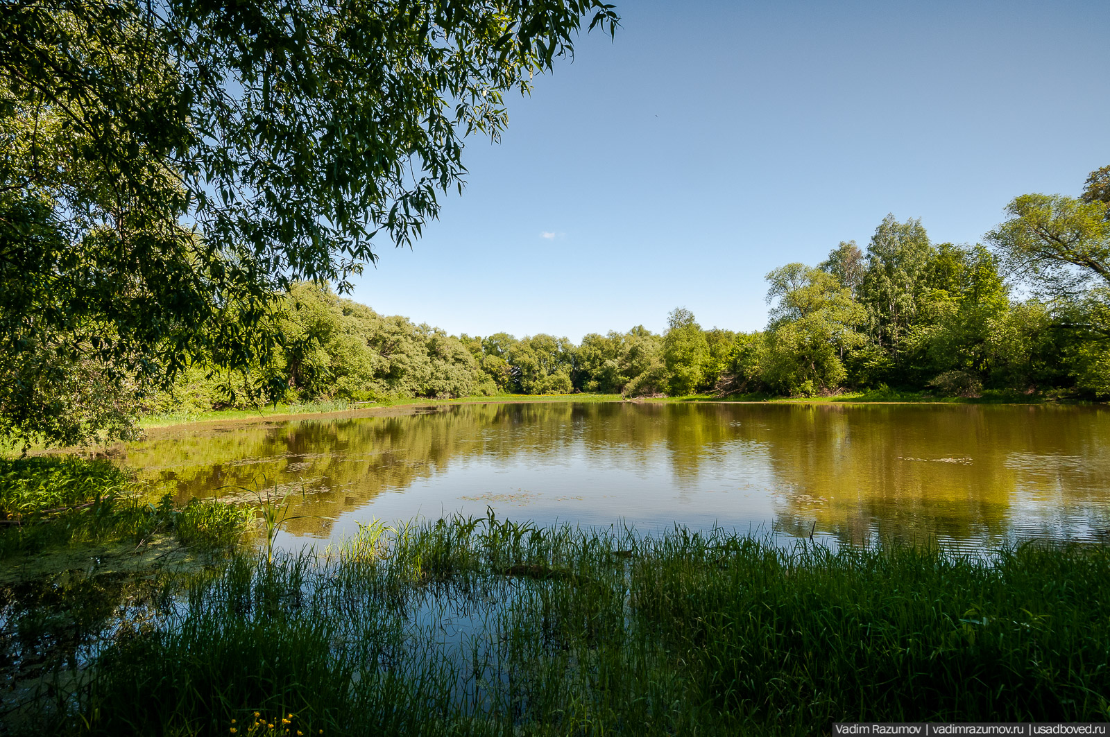 усадьба Урусово Кампанари, Тульская область, Веневский район