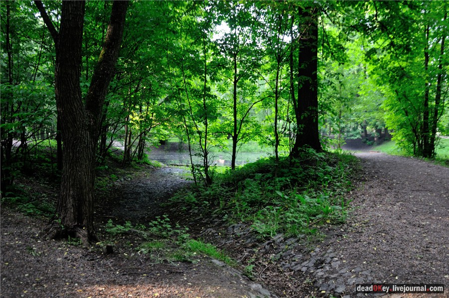 усадьба Грачевка (Ховрино)