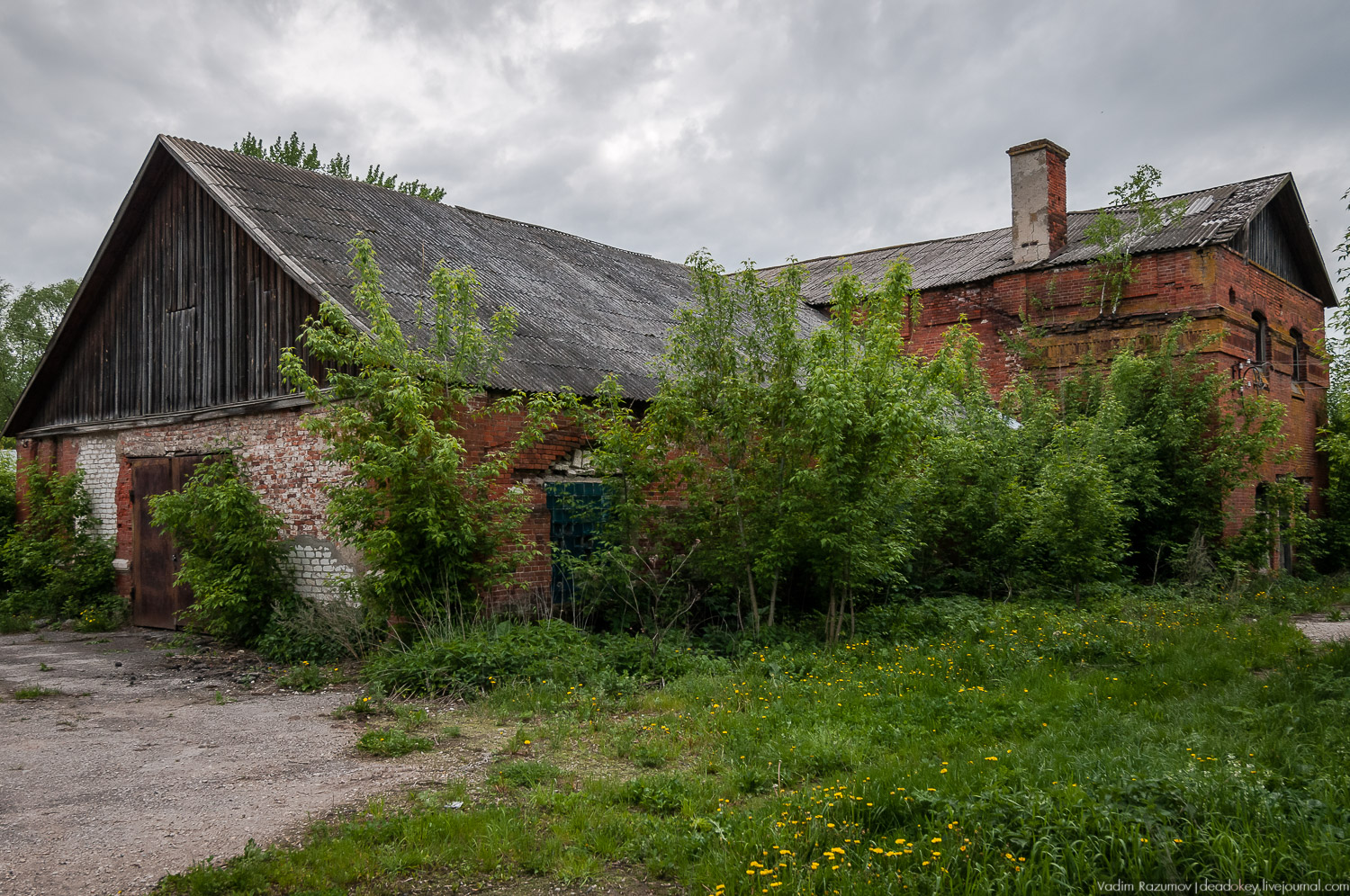 усадьба Старожилово, конезавод