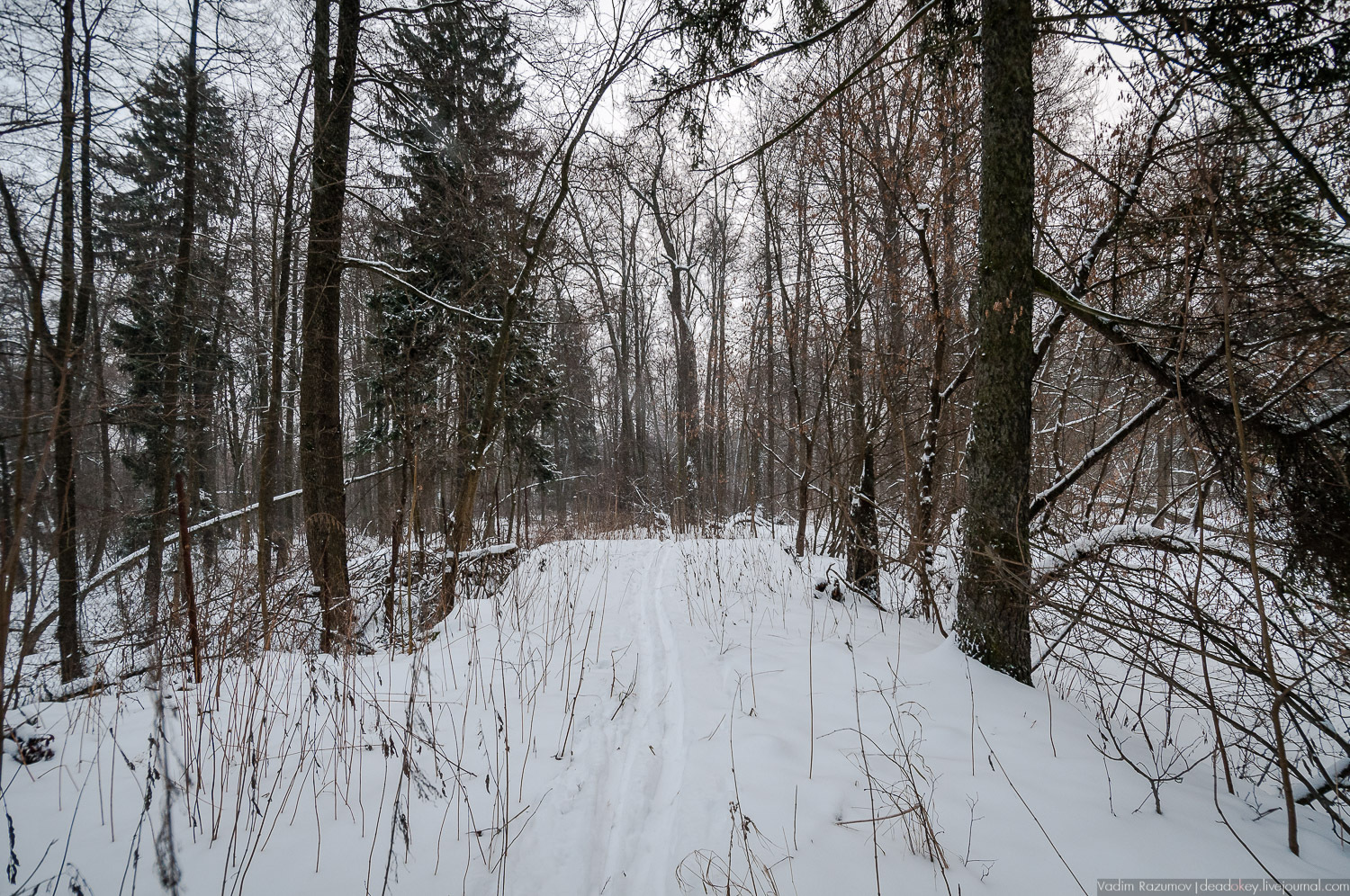 усадьба Знаменское-Садки
