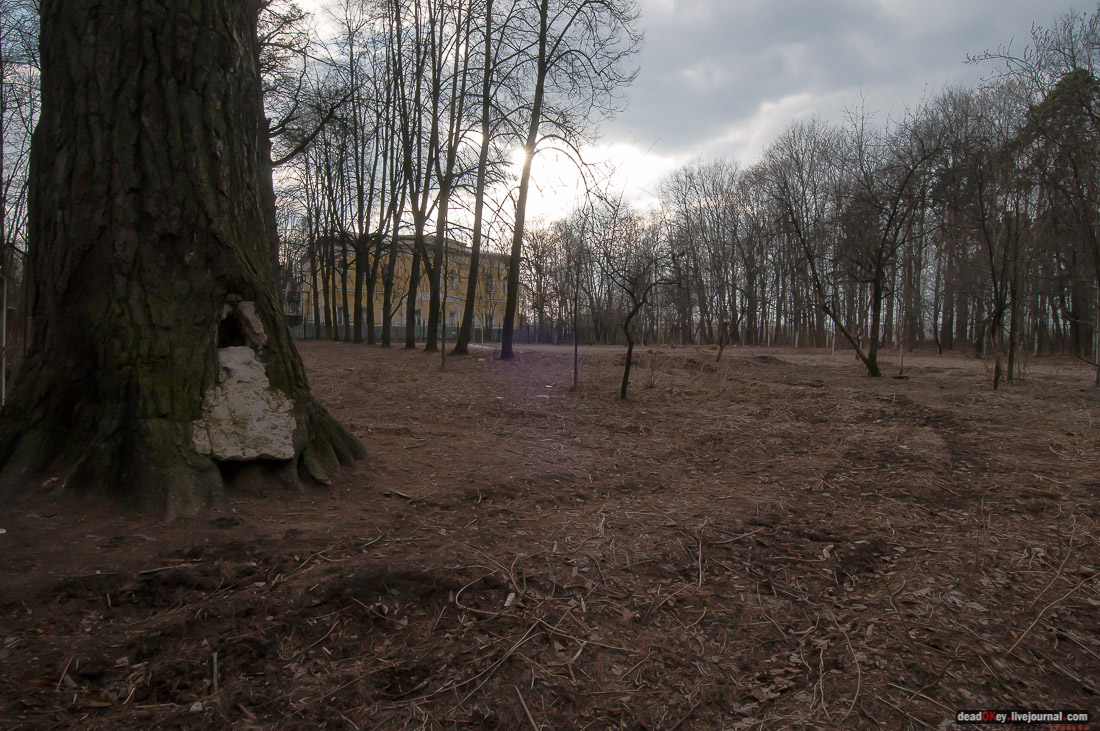 Усадьба Знаменское-Губайлово 