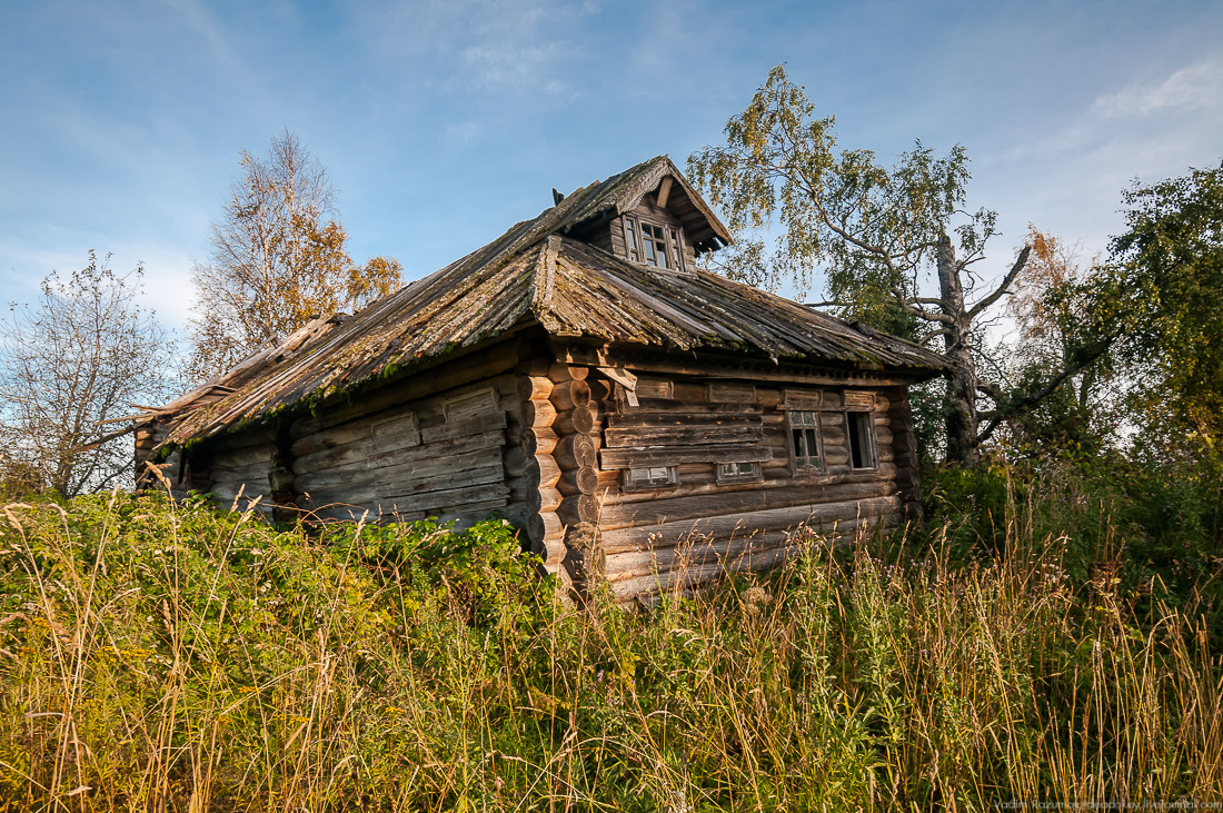 дер. Кучепалда, Архангельская обл.