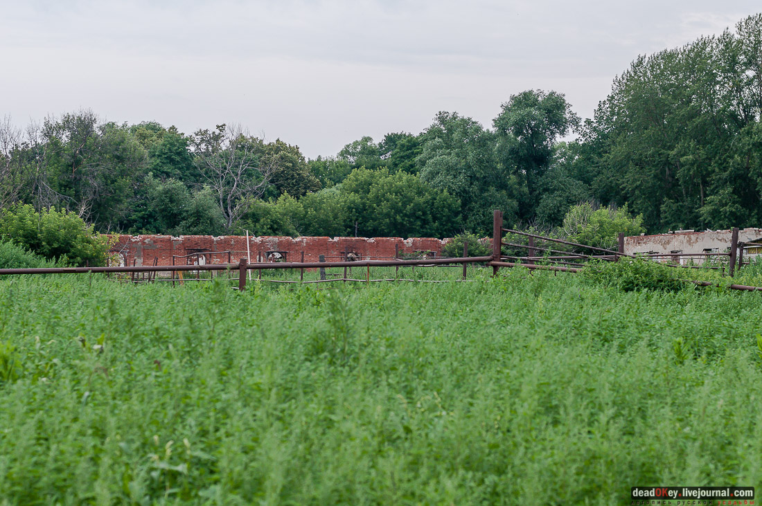 усадьба Дивово