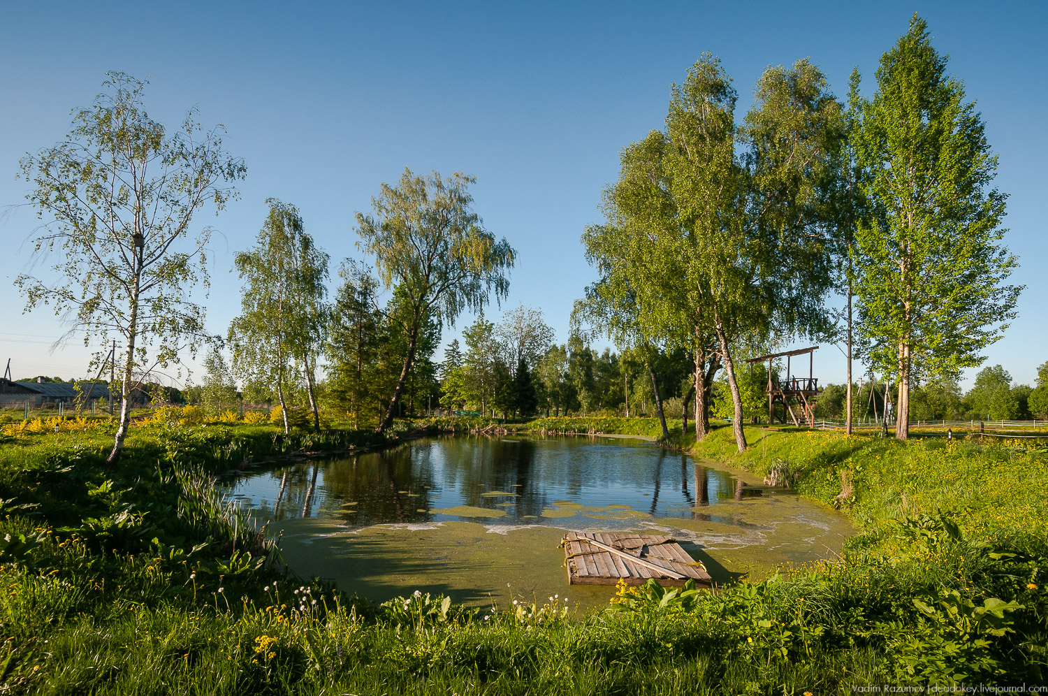 усадьба Воронино