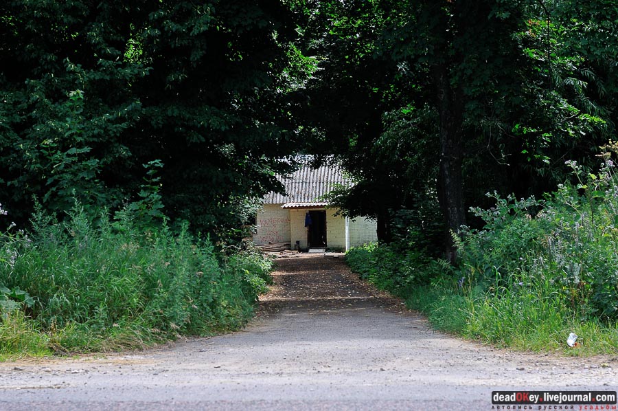 усадьба Городна