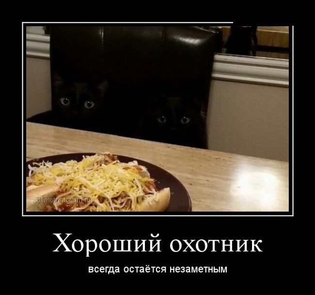 Демотиваторы №1007 (30 фото)