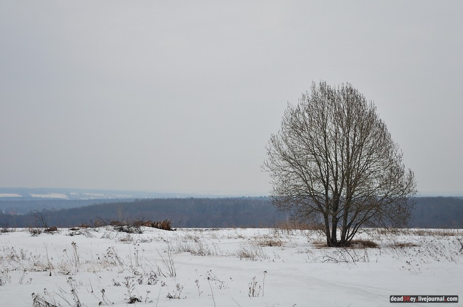 усадьба Пересветово