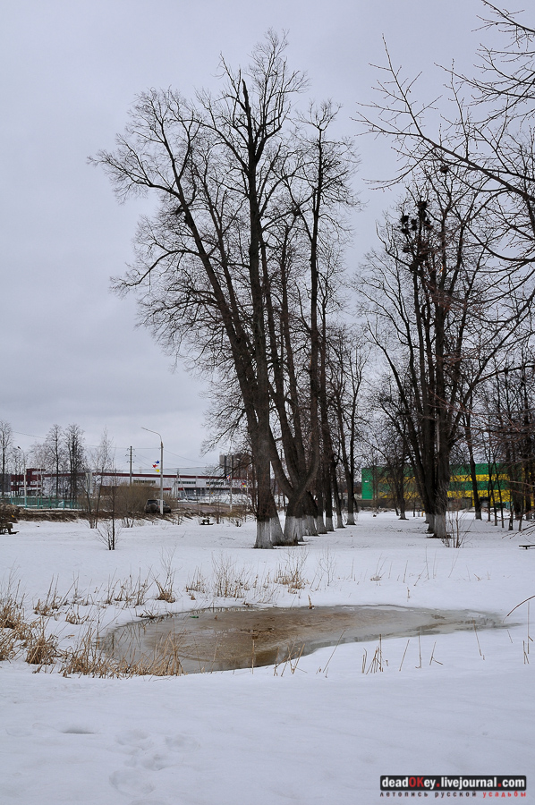 усадьба Сынково