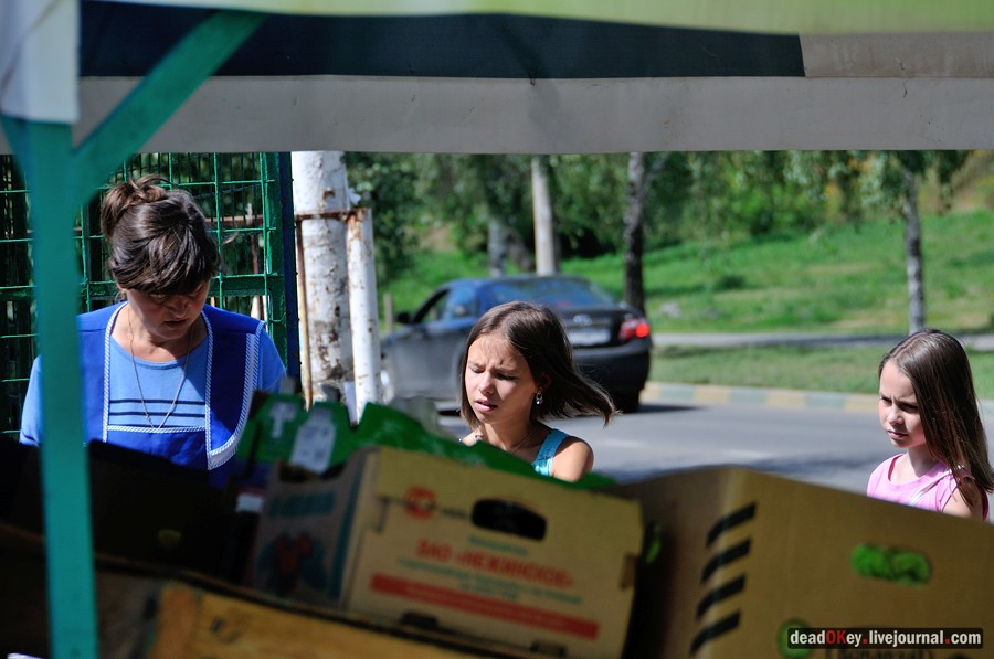 усадьба Троицкое (Мосрентген)