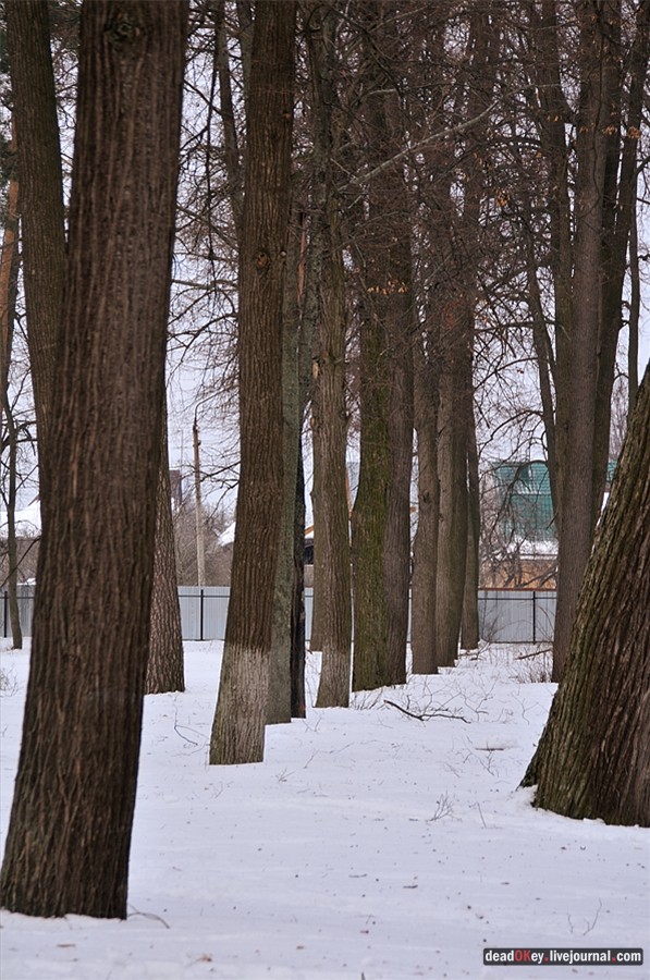 усадьба Успенское