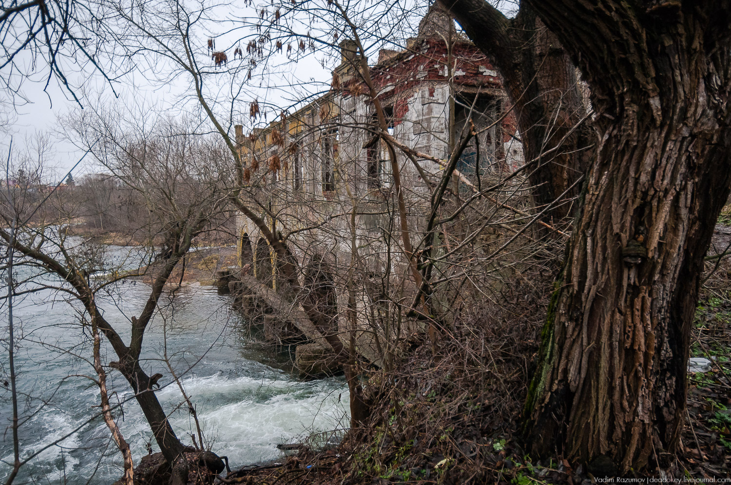 усадьба Троекурово, Липецкая область, Лебедянский район