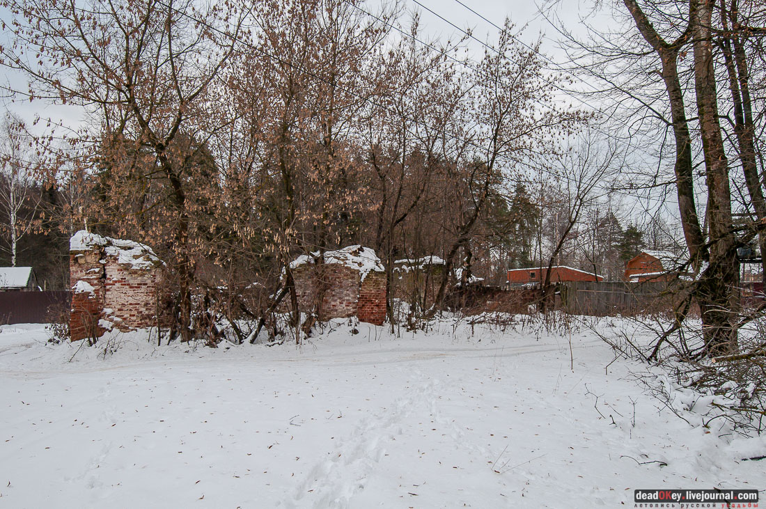 усадьба Гребнево, больничный комплекс