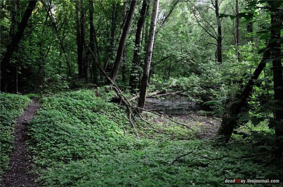 усадьба Грачевка (Ховрино)