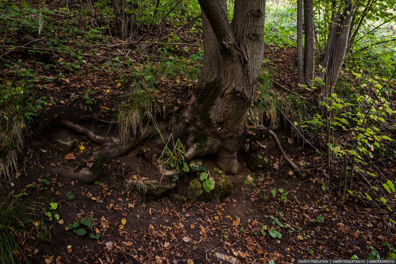 Городище Луковня, Подольское море