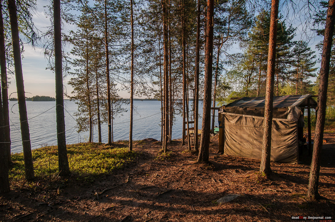 Россия, Карелия, Кондопожский район, Вендеры, Сяпчозеро, Спасская Губа