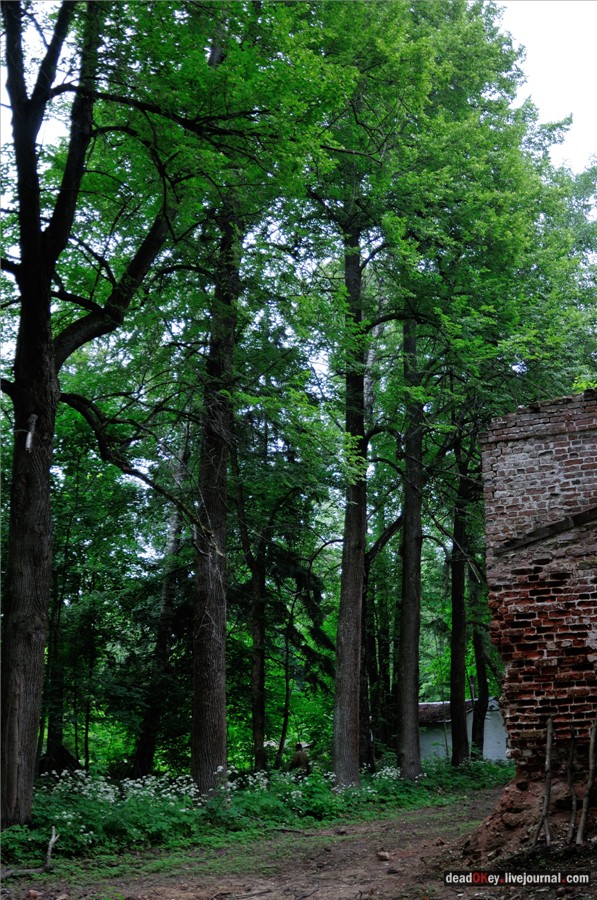усадьба Паньково