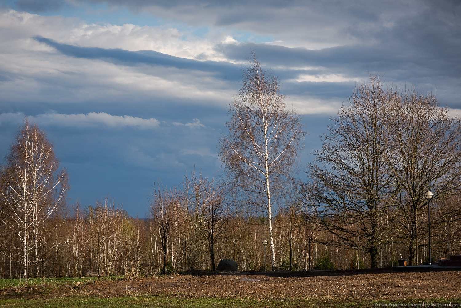 усадьба Домотканово, весна 2018 год