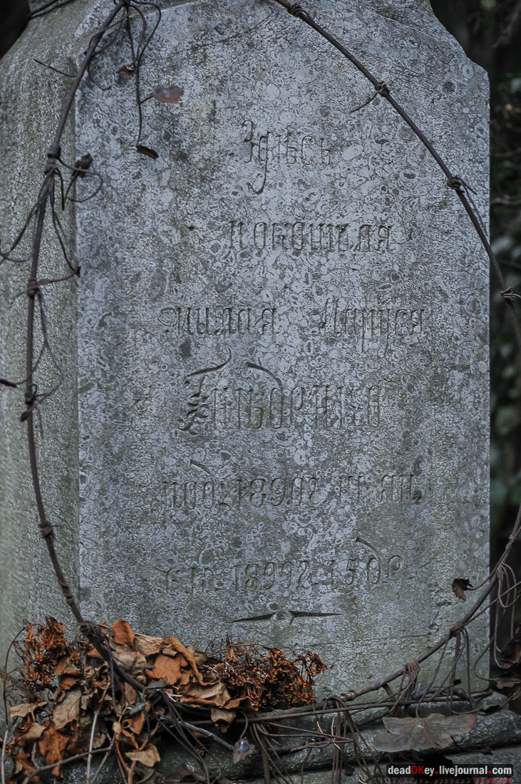 поселок Кореиз, Крым