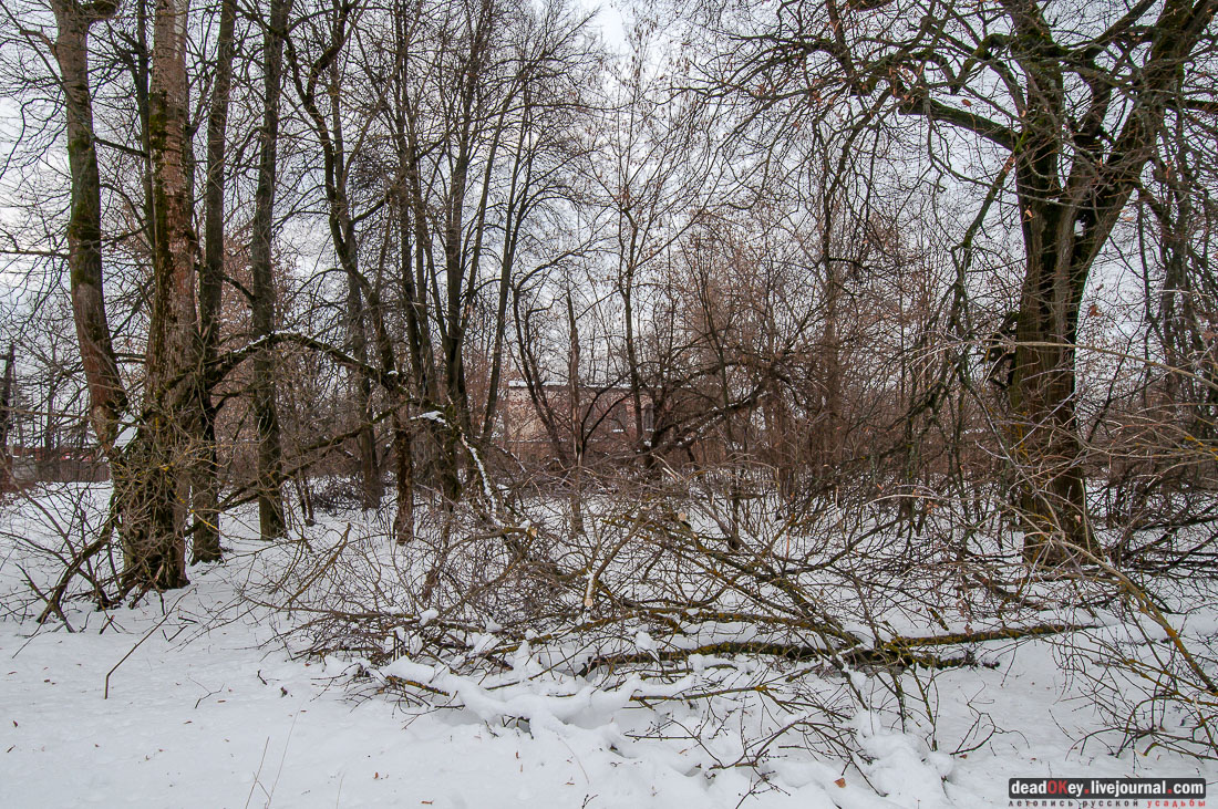 усадьба Гребнево, больничный комплекс