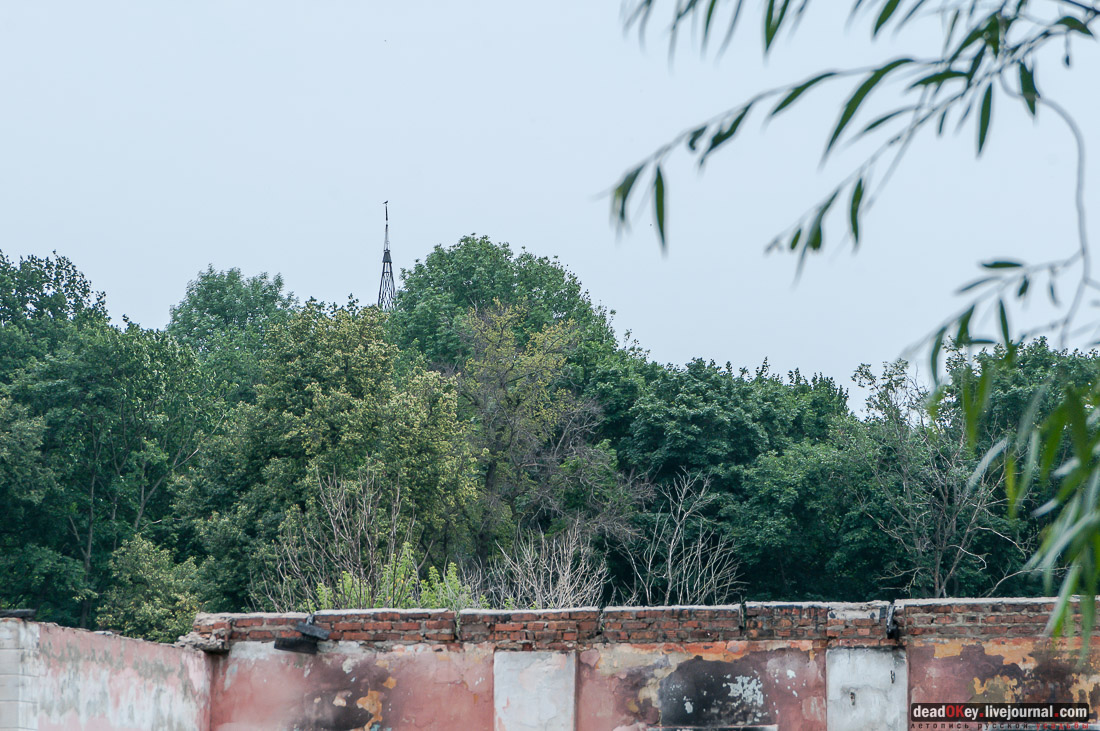 усадьба Дивово