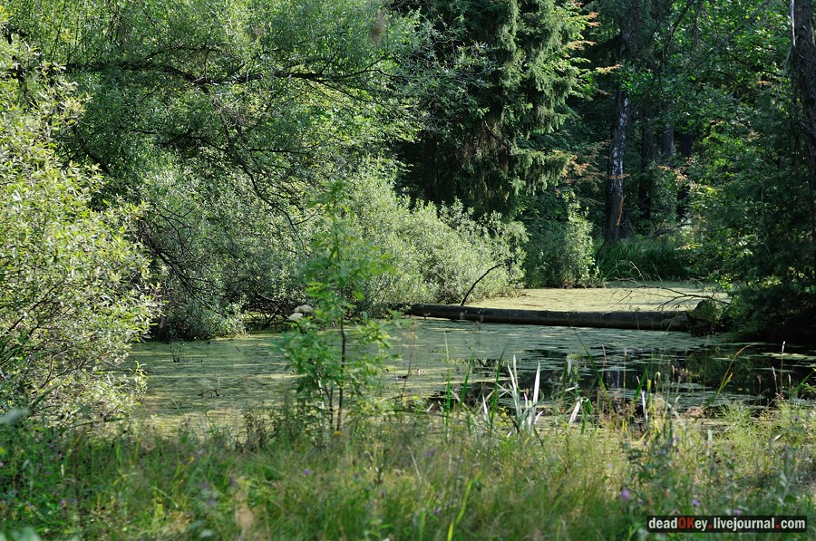 усадьба Пронино