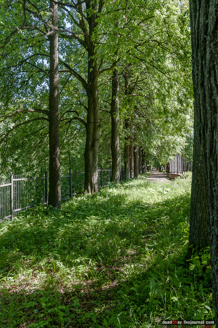 Гаврилов-Ям