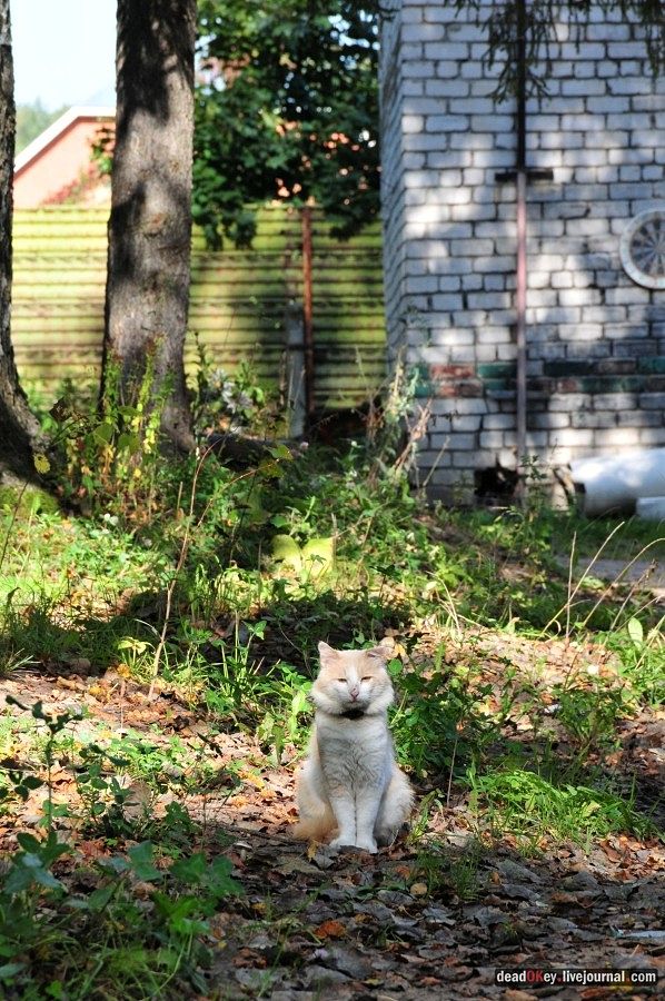 усадьба Родинки