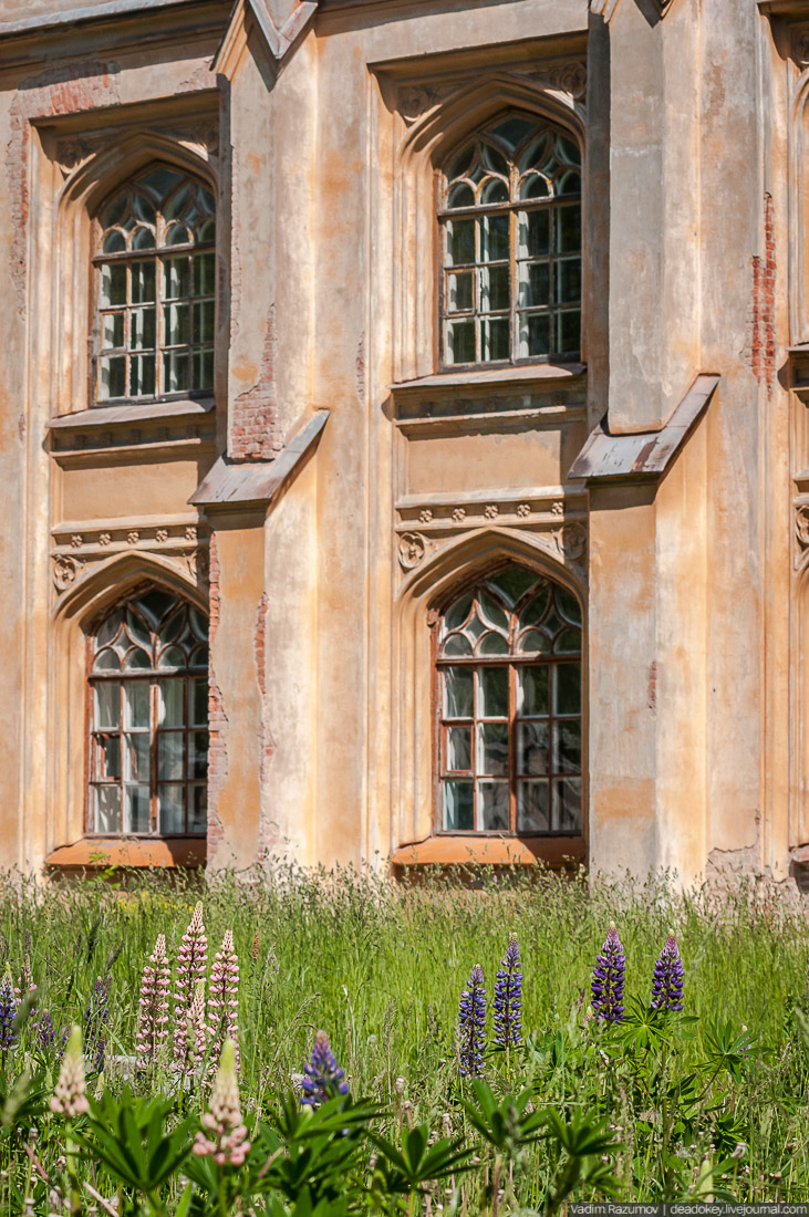 Петергофские конюшни