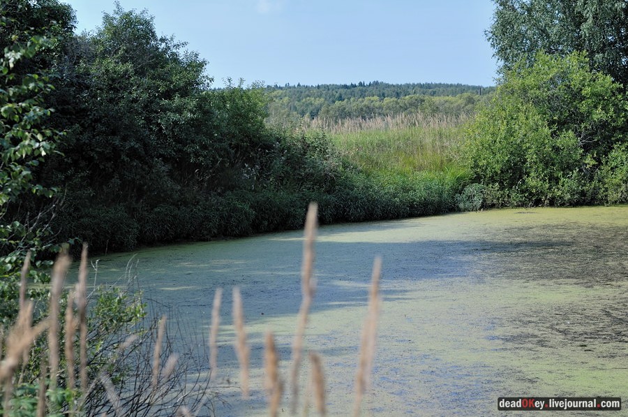 усадьба Хомяково