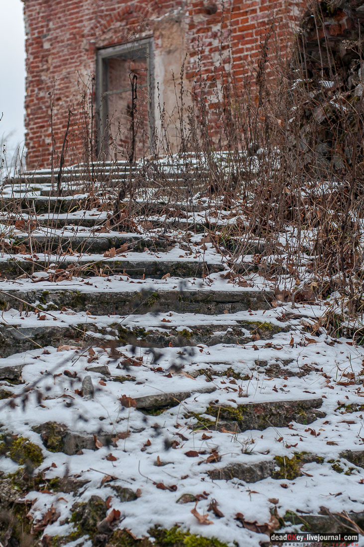 усадьба Ольгово